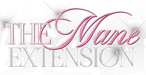 Translation missing: en.the mane extension accessibility.home